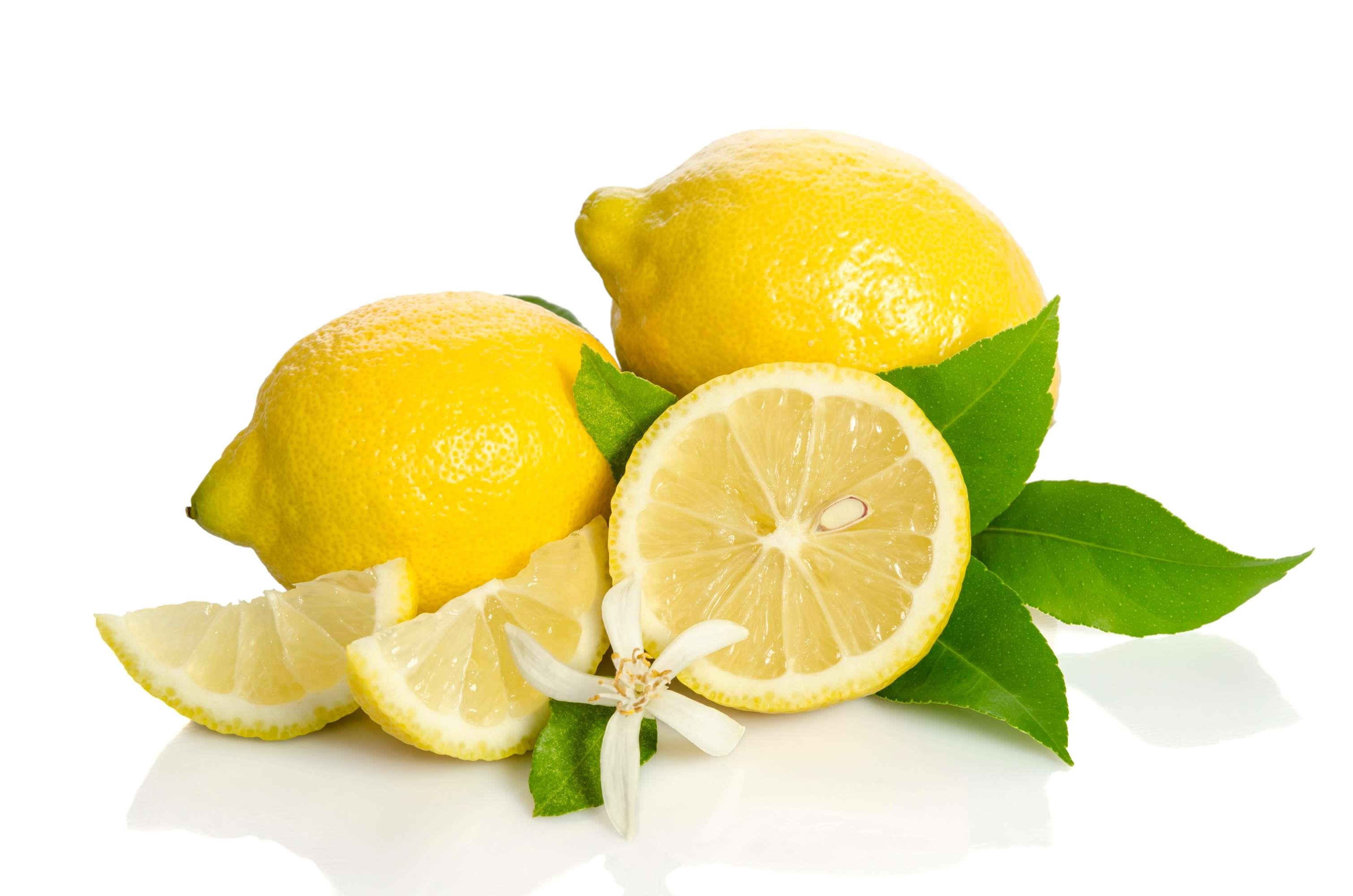 Bio-Limoncello: Intensives Zitronenaroma & 20 % vol