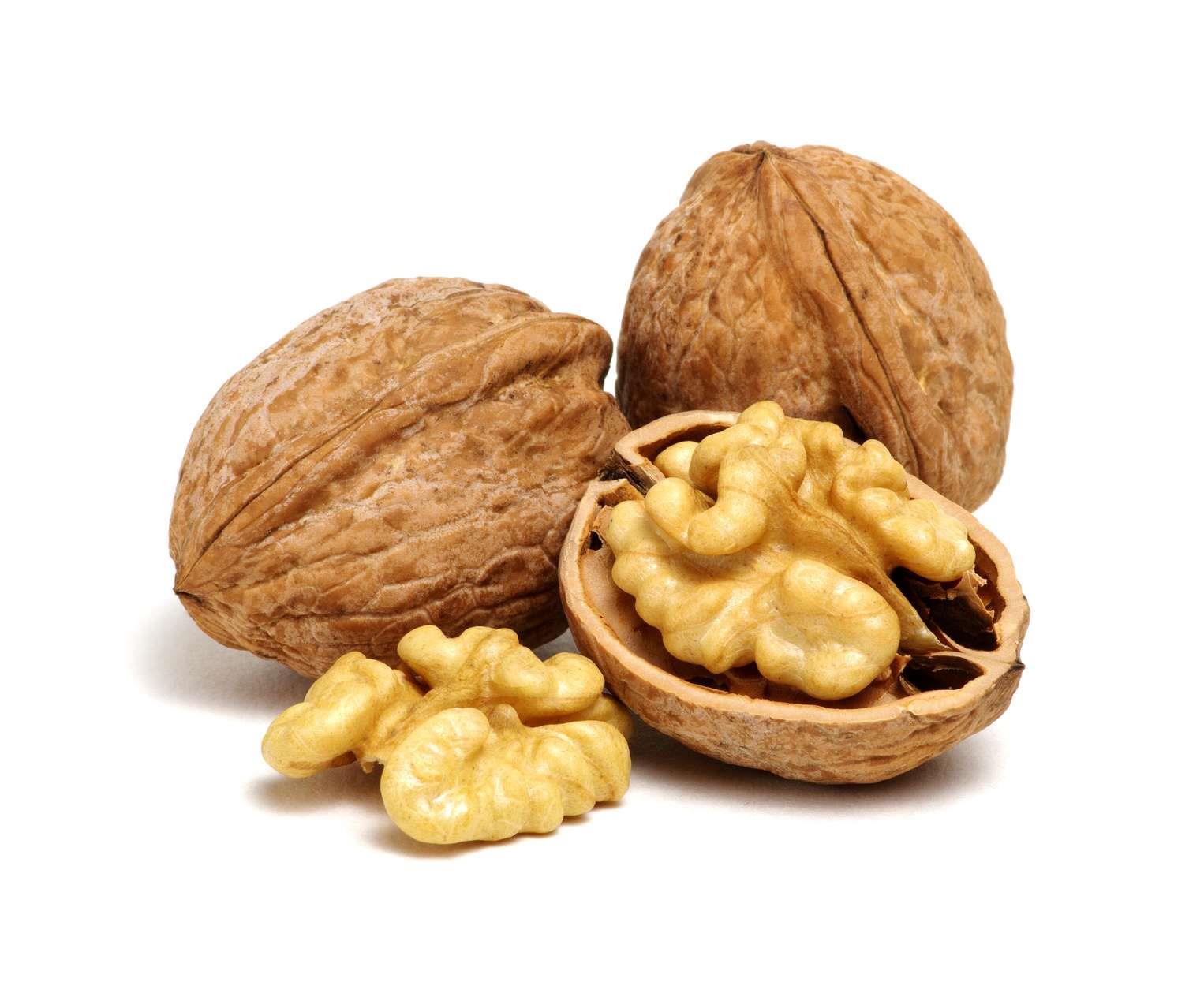 Bio Schlehe-Walnuss Likör – harmonische Kombination aus Schlehe & Walnuss