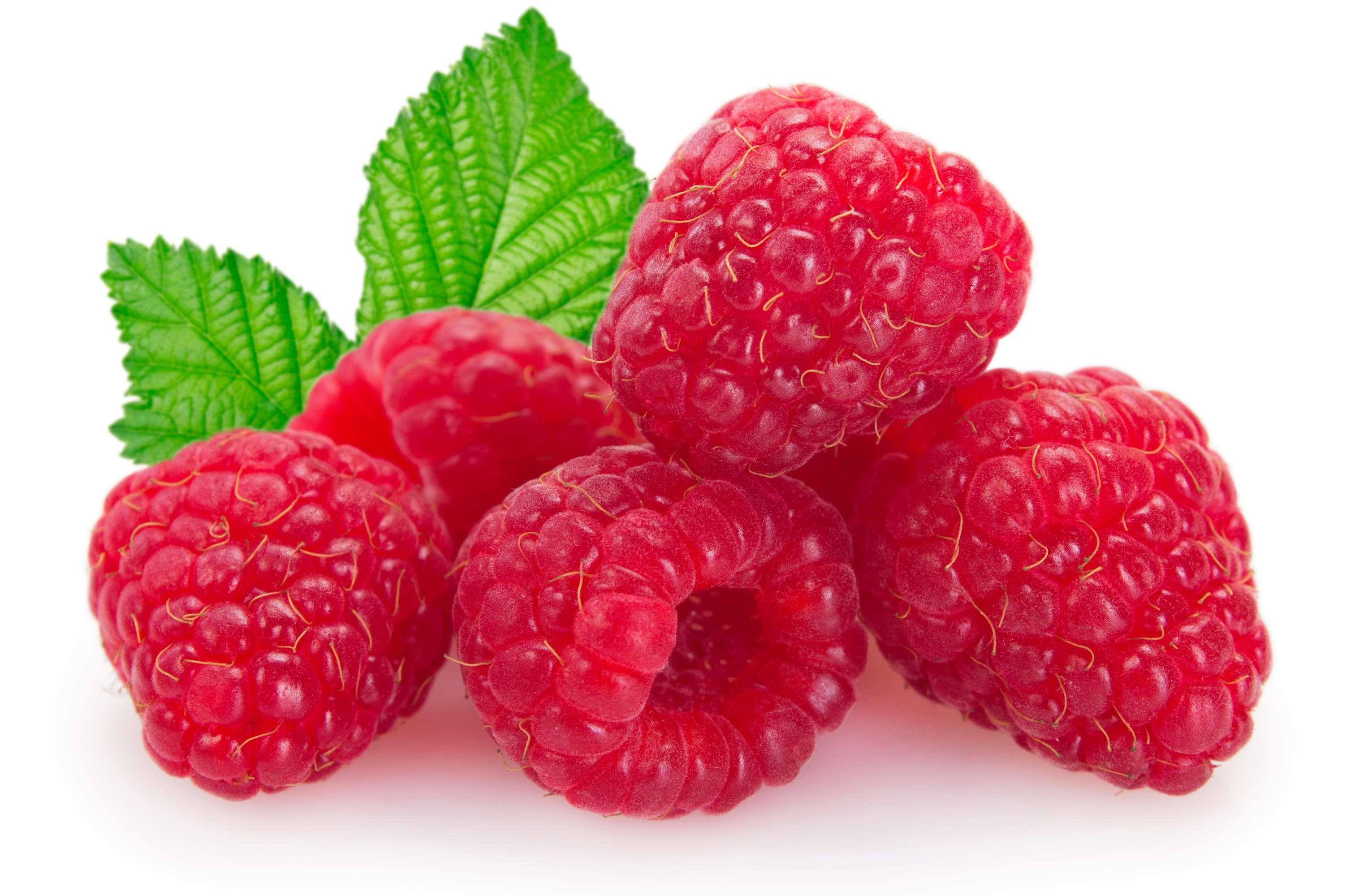 Bio Himbeer-Likör – aromatisch-fruchtig mit 20 % Bio Himbeersaft